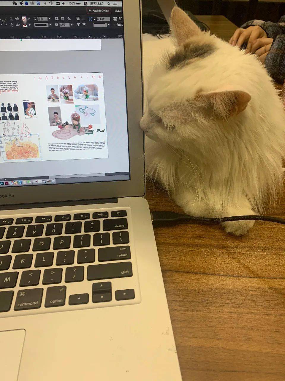 生活|幸好五年前，我大一退学了