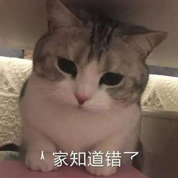 蒙淇淇|E句话看天下丨凡尔赛公主为她的“艺术夸张”道歉了？