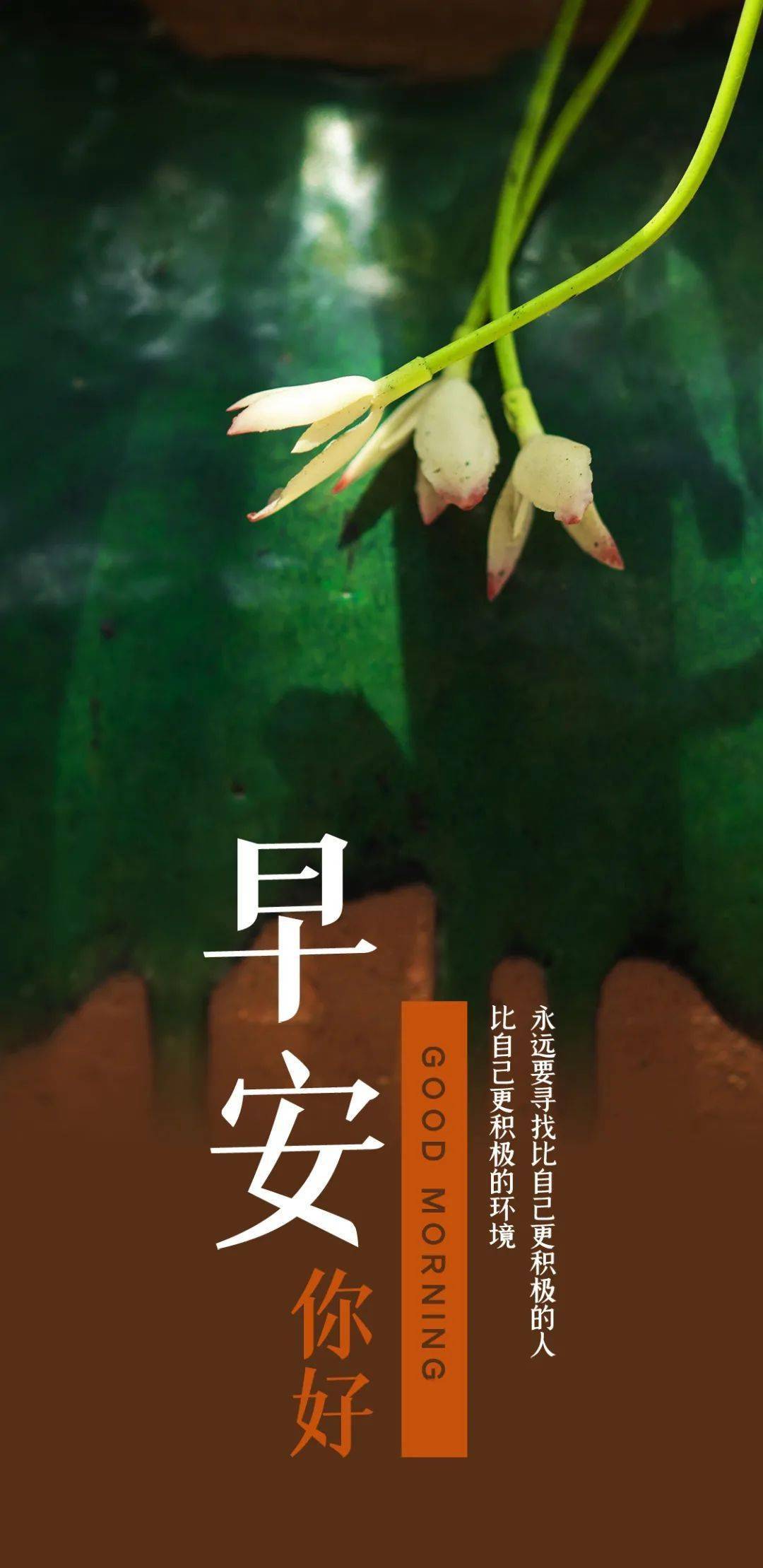 满什么什么光成语_成语故事简笔画(2)