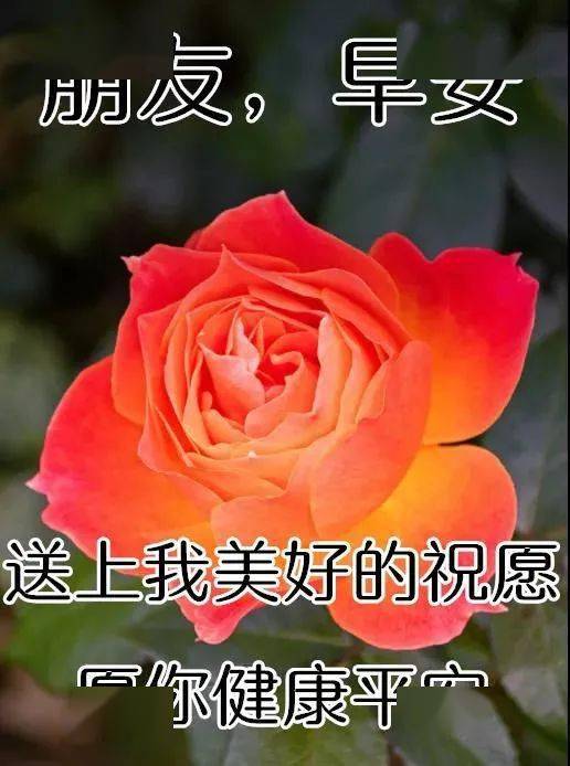 2f964eecc7334e79b0a8ecab11eb7b0a.jpeg