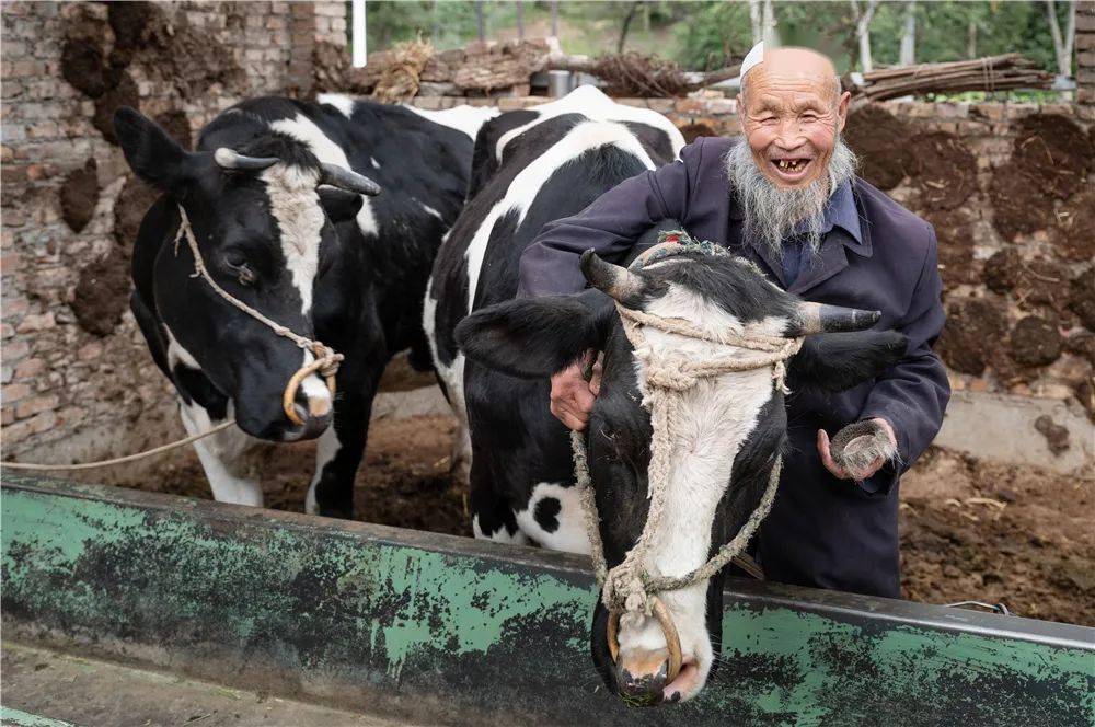 湟中县有多少人口_湟中县地图