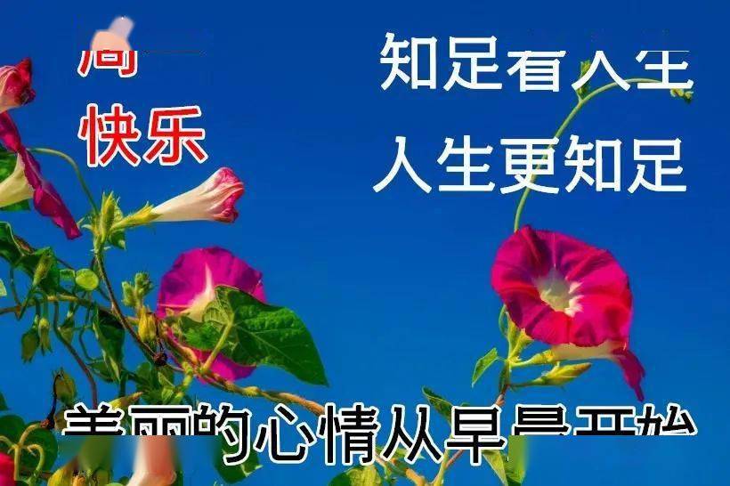 亲爱的朋友很暖心早安图片温馨的早上好祝福语图片带字