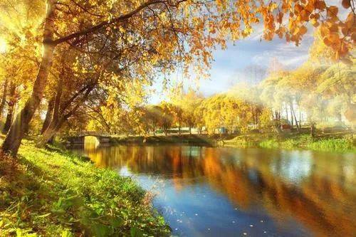 啥时候是秋天 8f6efb0a083b4b65a49896b88ba26636.jpeg