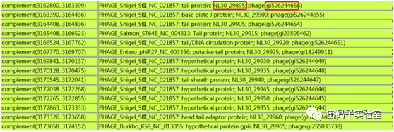 snapgene 3.2.1 snapgene 3.2.1