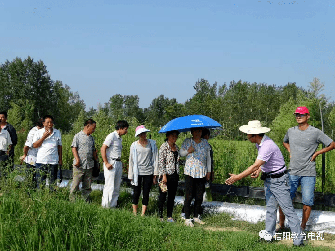 光山县 贫困人口_光山县地图(3)