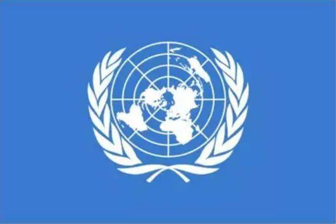 活动预告 | 第四届研究生模拟联合国大会开始报名