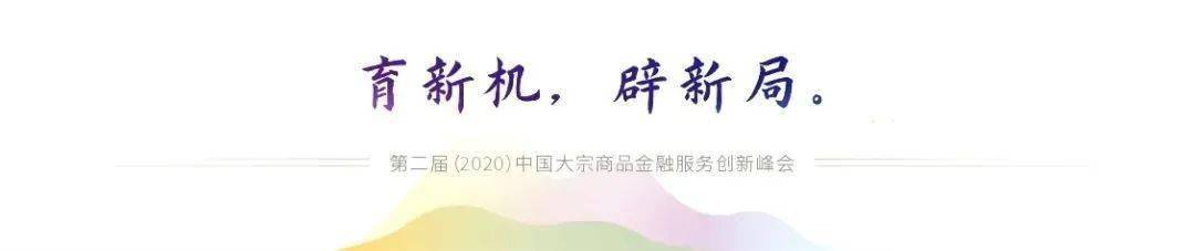 中国期货公司2020年_聚焦发展着眼未来|2020年中国玻璃-纯碱产业大会在浙