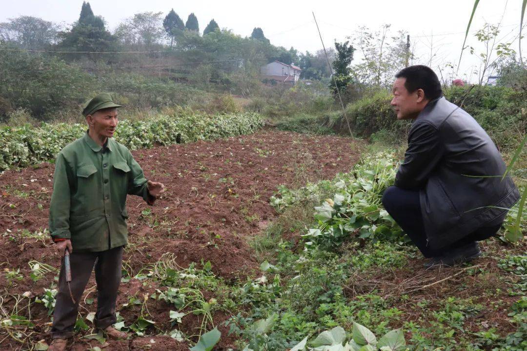 人民网韦永华致富路上一个都不能少