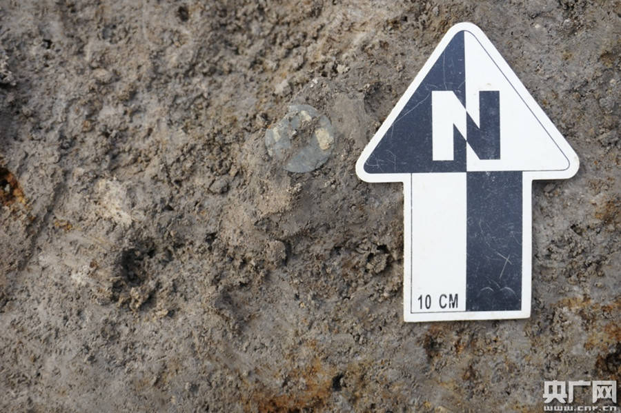 遗址|宁波发现东周时期文化遗址 出土文物佐证此地曾参与吴越争霸