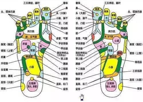 运动|日本变态“腿部抽脂术”，7天小腿瘦3cm，堪比瘦腿针