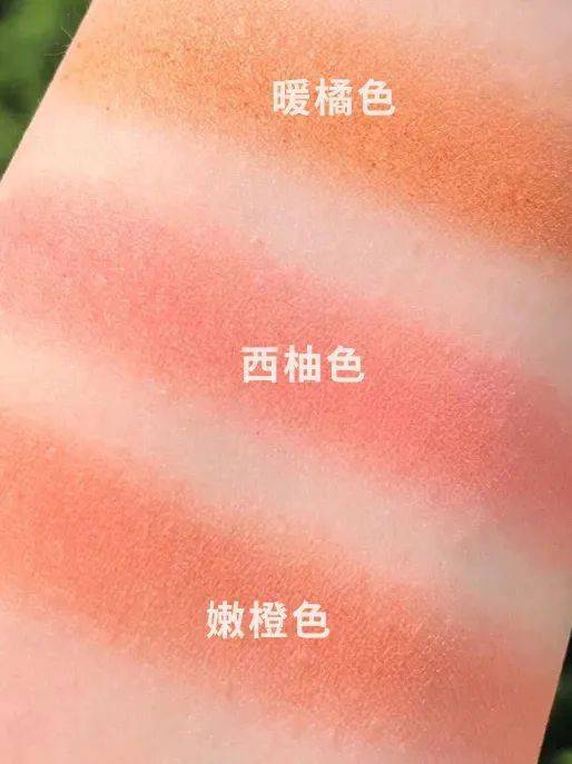 蒙淇淇|20块钱就能买到的绝美腮红？我不信！