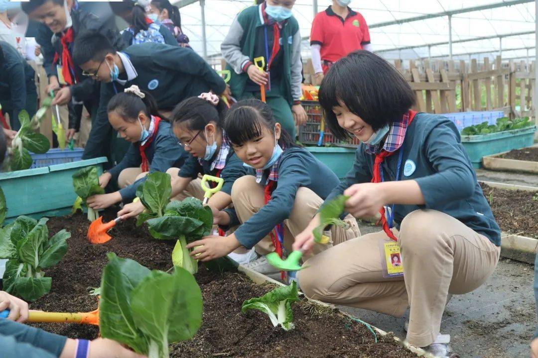 闪耀61明珠研学旅行促成长最美课堂在路上明珠中英文学校2020秋季