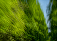 653b824965734f1885a3c10a804f6d1d.png