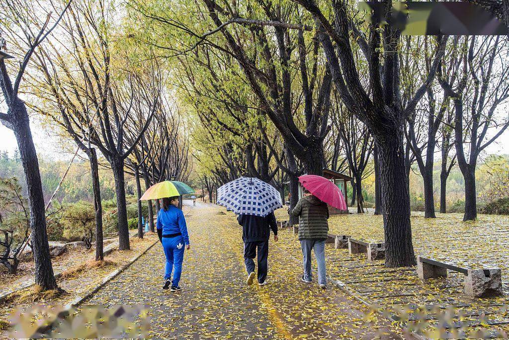 雨季来袭 山东青州市民雨中漫步