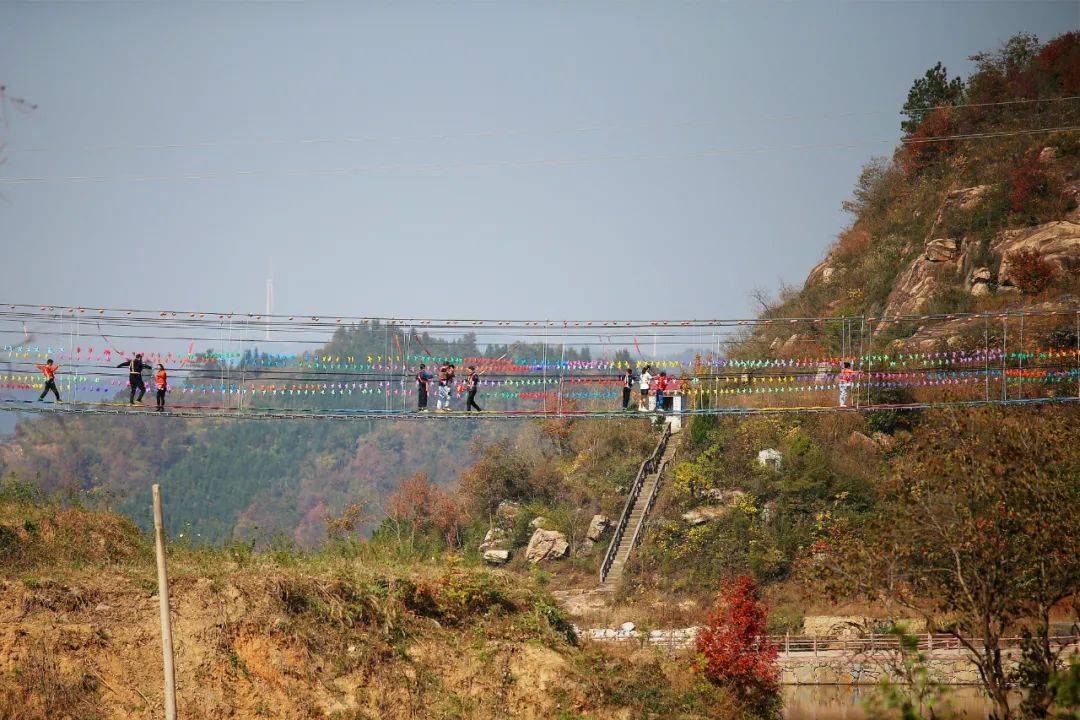 新县杨高山村:邂逅千年古银杏