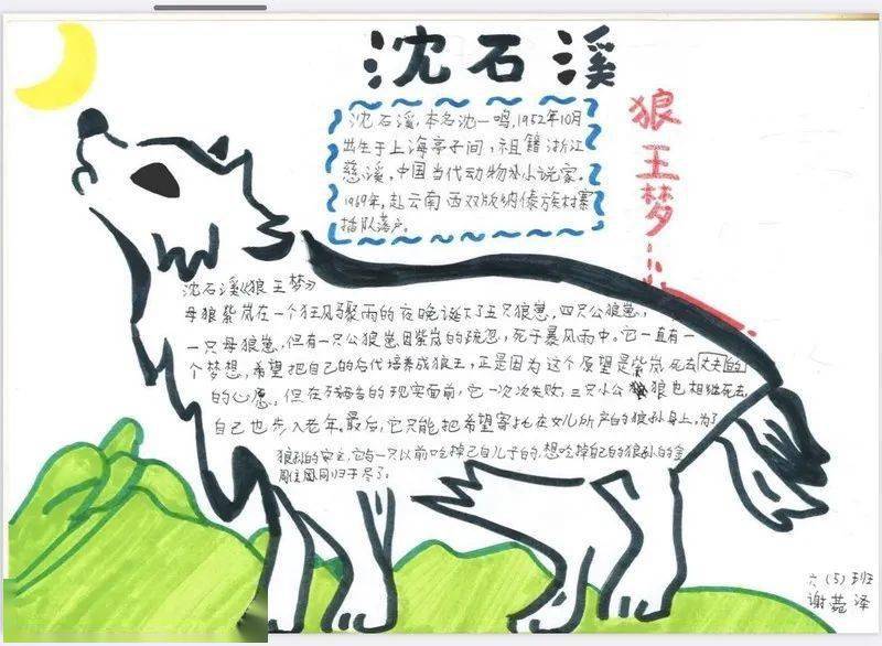 走近沈石溪的动物世界 ——六年级读书分享
