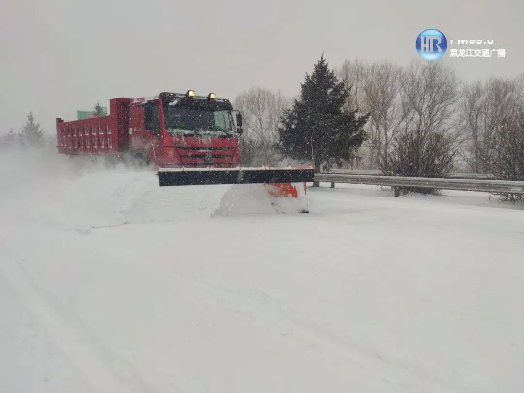 暴雪来袭!哈市机场关闭,我省多趟旅客列车停运,多条高速公路封路!