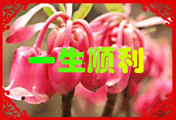 早上好,《送你一首吉祥的歌》祝你幸福!吉祥!