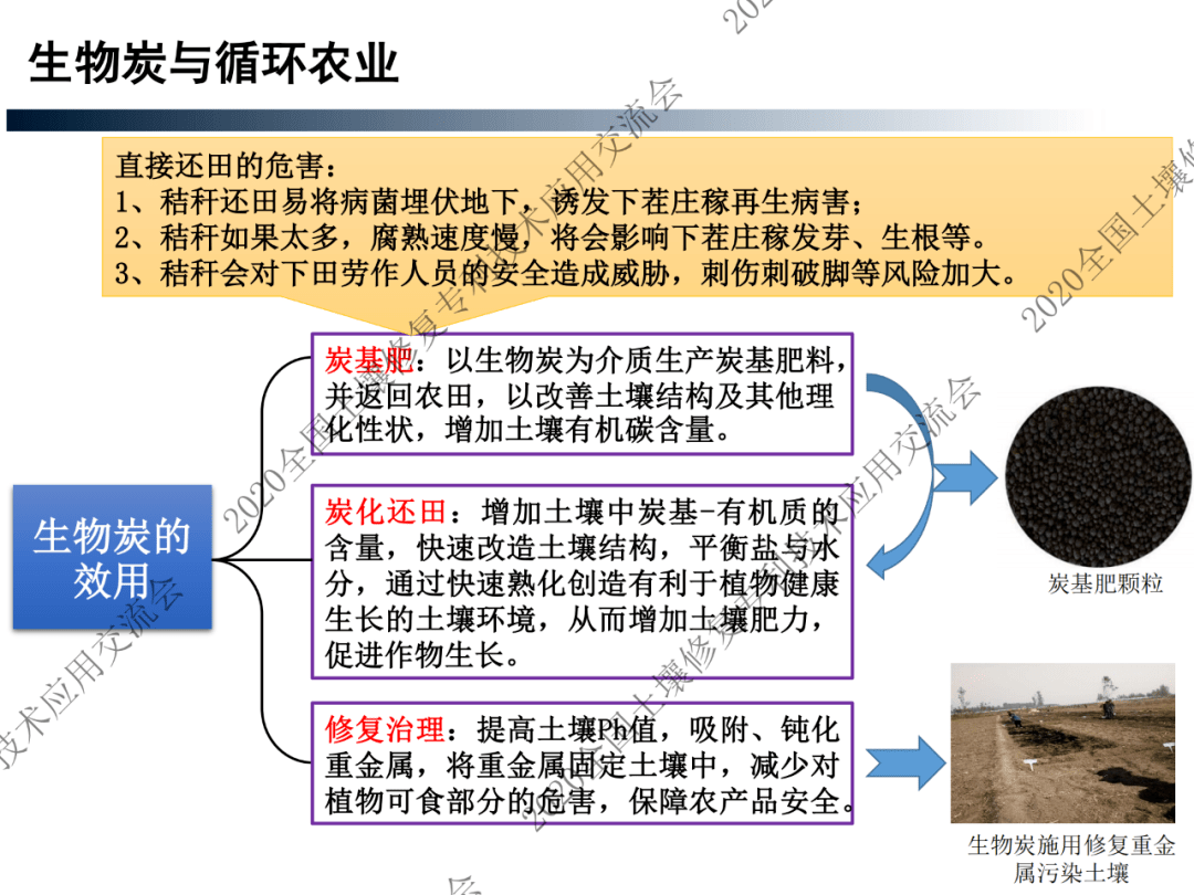 干货分享张亚平生物炭67土壤修复与循环农业ppt