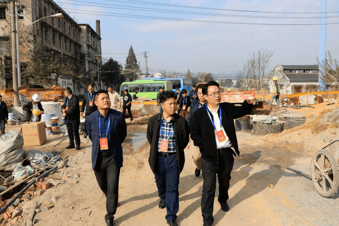 梅城镇人大活动杭州市建德市两级人大代表视察镇部分重点项目建设