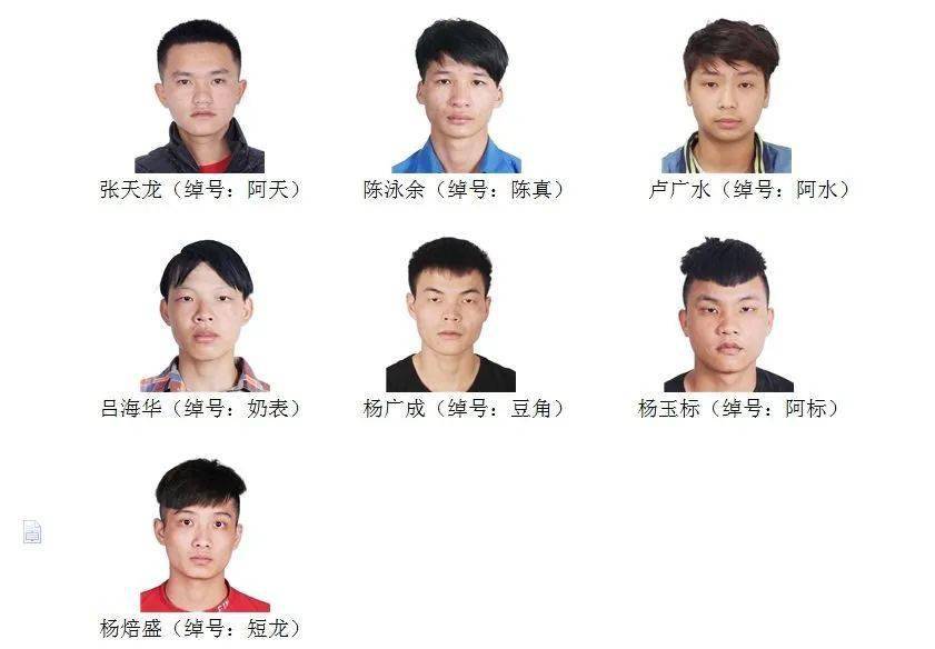 关于公开征集张天龙等人违法犯罪线索的通告