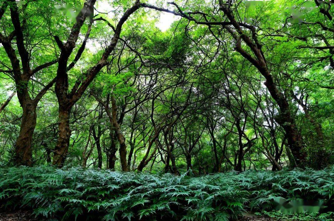 江华县2020年GDP_江华县地图