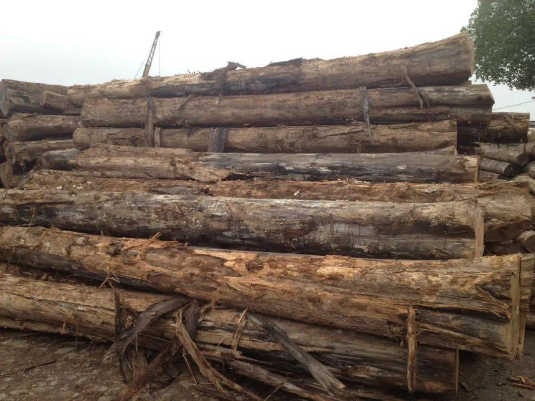 特木 来自搜狐网