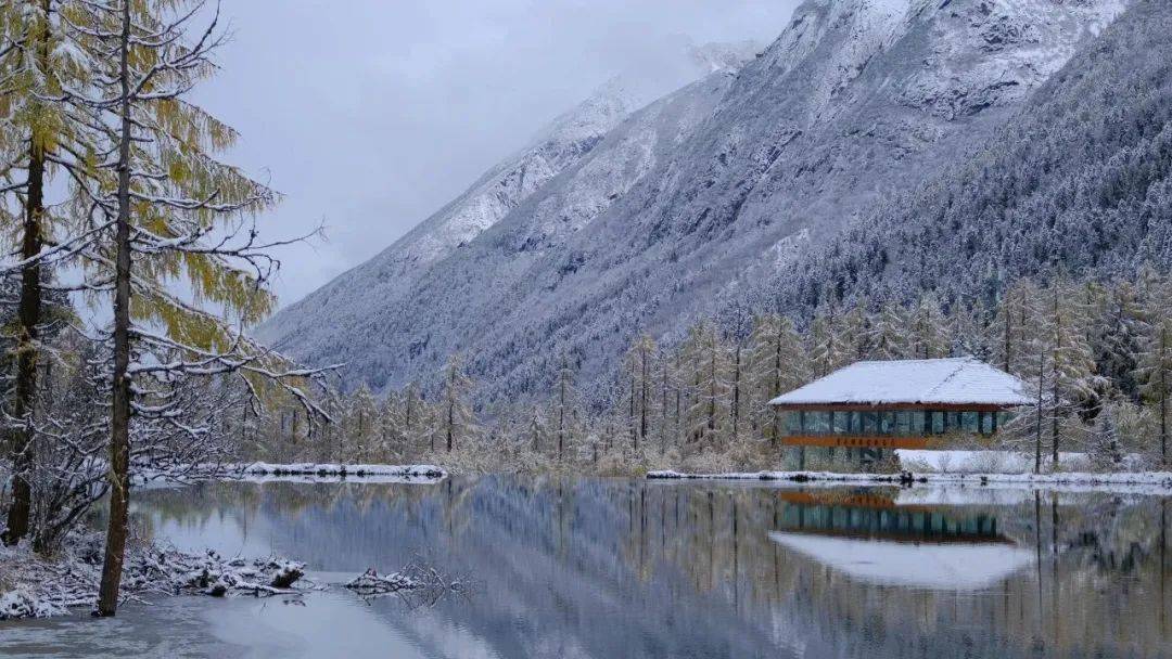 看雪滑雪来四川鹧鸪山毕棚沟360释放你的冬日激情