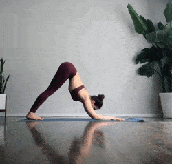 a95cc5d419784841a815f9dfa94dbbc3.gif