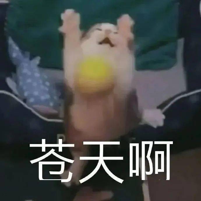可爱沙雕搞笑表情包:快乐回来了