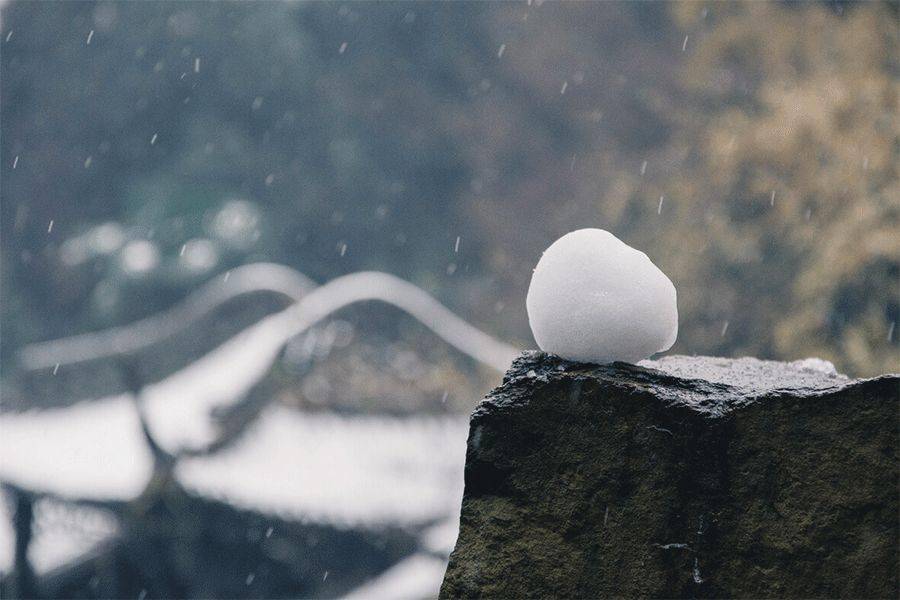 小雪|秋天成了故事,冬天成了风景