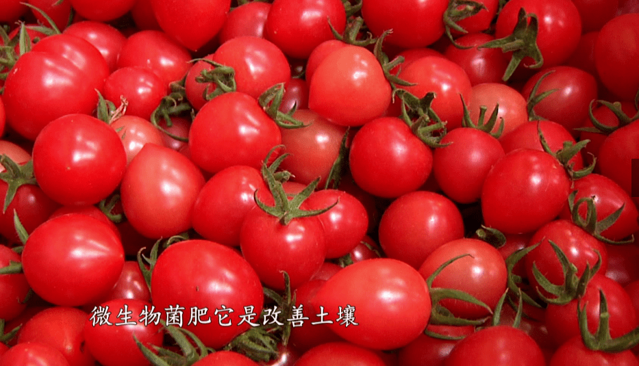 3b88d4456a71466bacae4732f34362b9.png