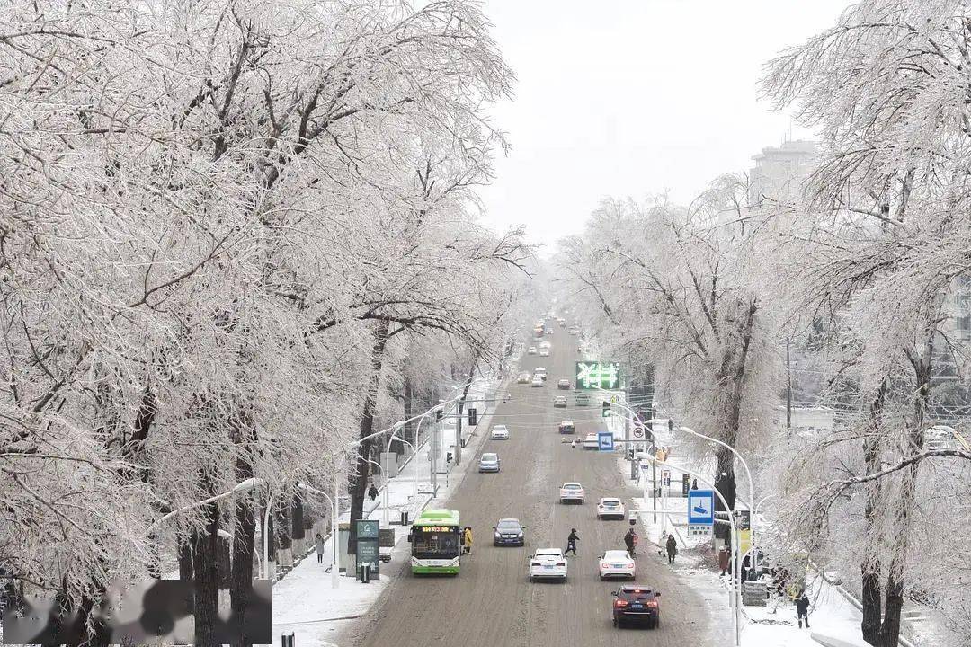 初雪后的长春美景,你值得拥有