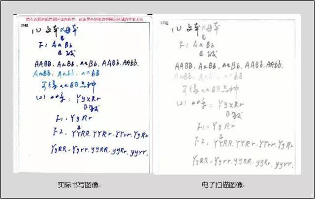 电脑|你就要白白丢分了！中高考电脑阅卷流程曝光！不避开这些“坑”