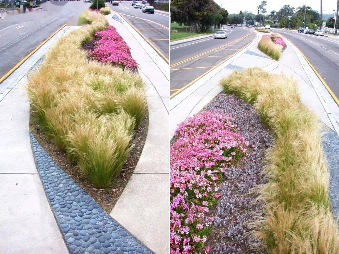 (附道路景观设计cad/skp文件)