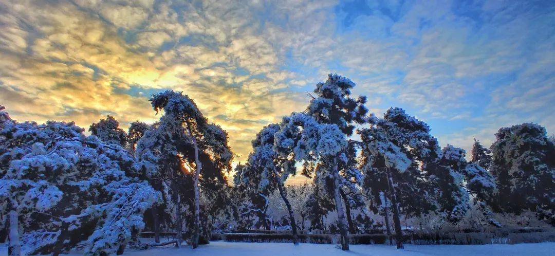 长春雪景有多美看这一条就够了