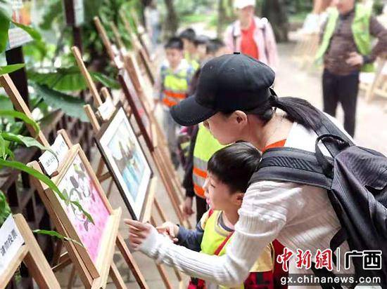 选拔赛|第十届中国花卉博览会广西赛区选拔赛在南宁启动