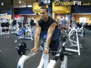 史上最全健身动作集绵,告别瞎练,从此不求人!