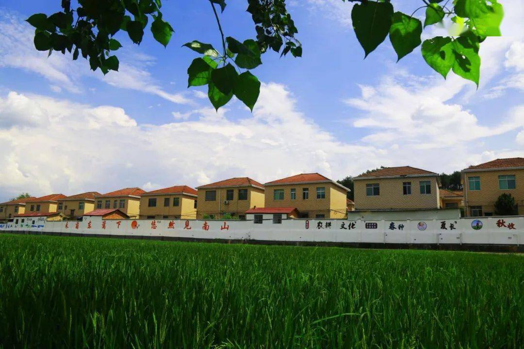 长沙永安镇gdp_沁园春·长沙