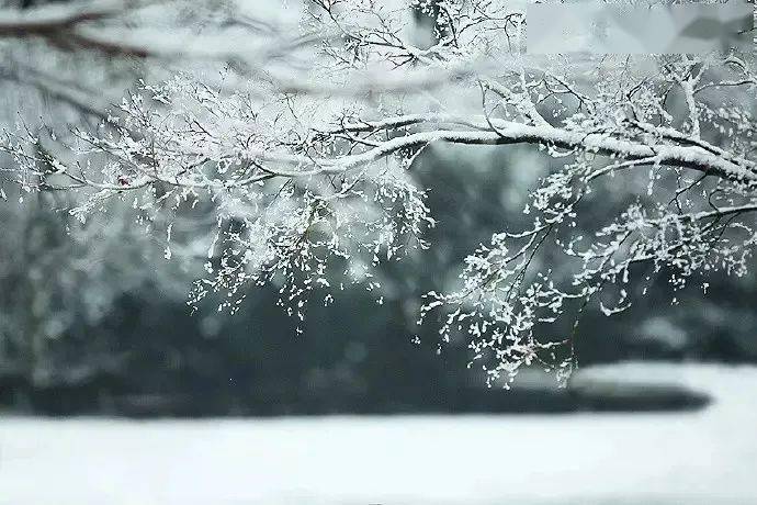 《逢雪宿芙蓉山主人》