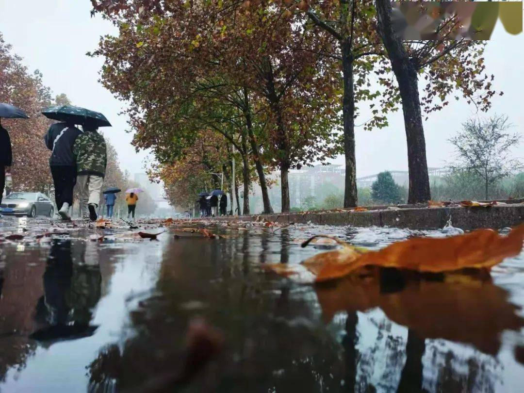 冬雨 是雪的使者