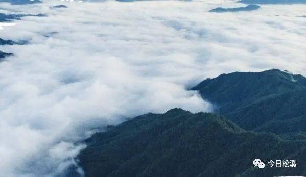 松溪白马山自然保护区群山云海到古县来寻宝物华天宝,人杰地灵.