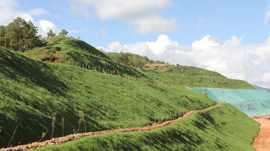 鹤庆水泥凤凰山石灰岩矿山自2012年开始  分期系统化开展矿山复绿