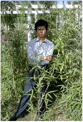 贺川镇人口_人口普查图片(2)
