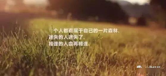0b6d415fb2ab469598251da4ff7ed82e.jpeg