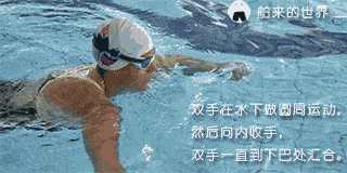 你和游泳健将的距离就差一个最直观的蛙泳教程