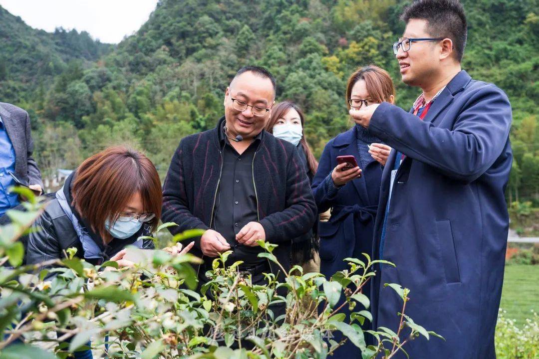 利川红名扬四海 致富梦美梦成真星斗山红茶公司首席制茶师邱建红介绍