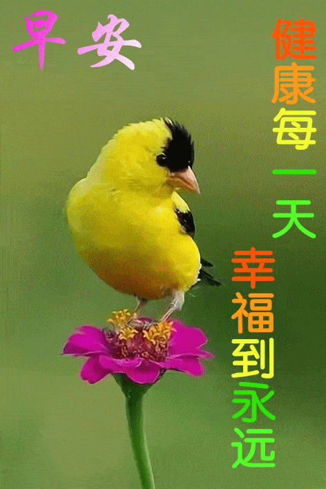 早上好动态表情图片带字唯美冬天清晨早安问候祝福语冬天表情图片