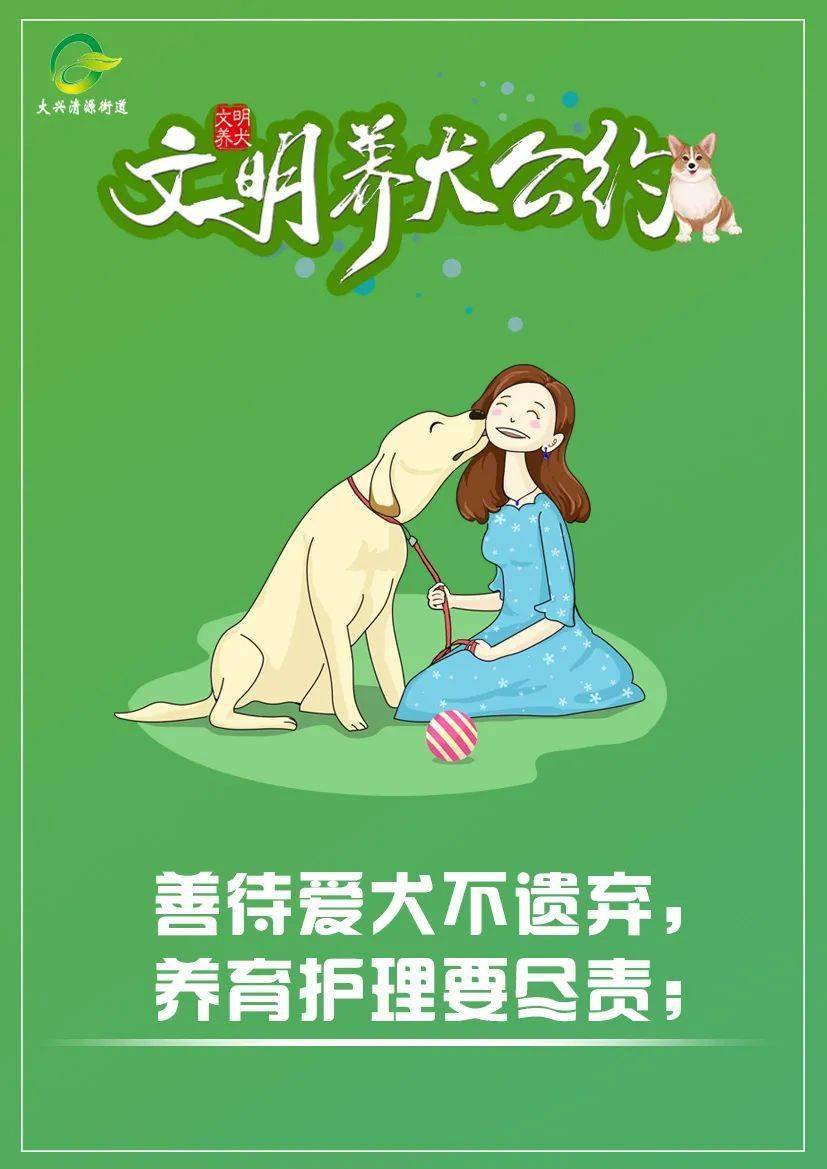 文明养犬8条规你做到了几条