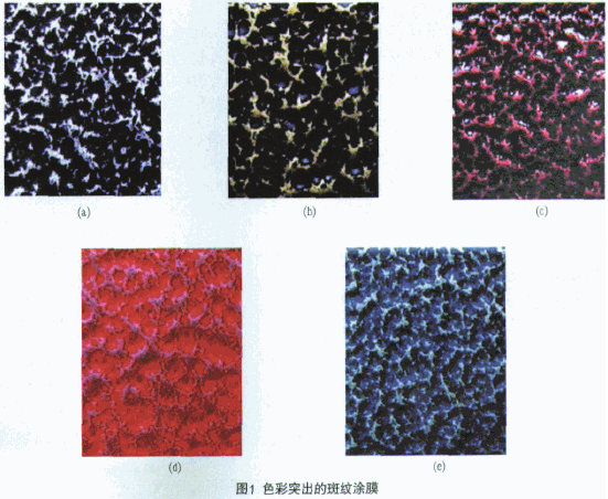 7e027ba75417442f8242a12174b50cb6.png